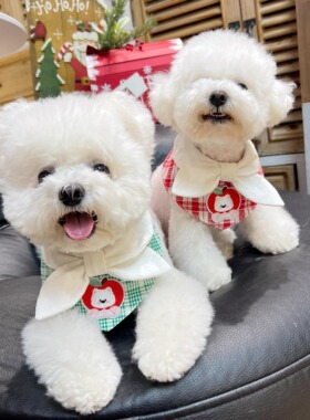 宠物口水巾猫咪狗狗通用三角巾布偶约克夏防脏脖套卡通可爱围脖