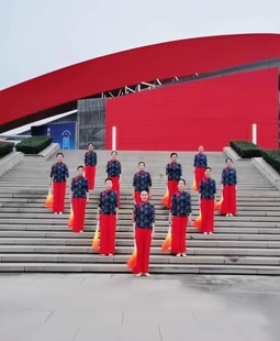 花与影新舞美丽中国同款广场舞中老年伞舞扇子舞服装秧歌演出服女