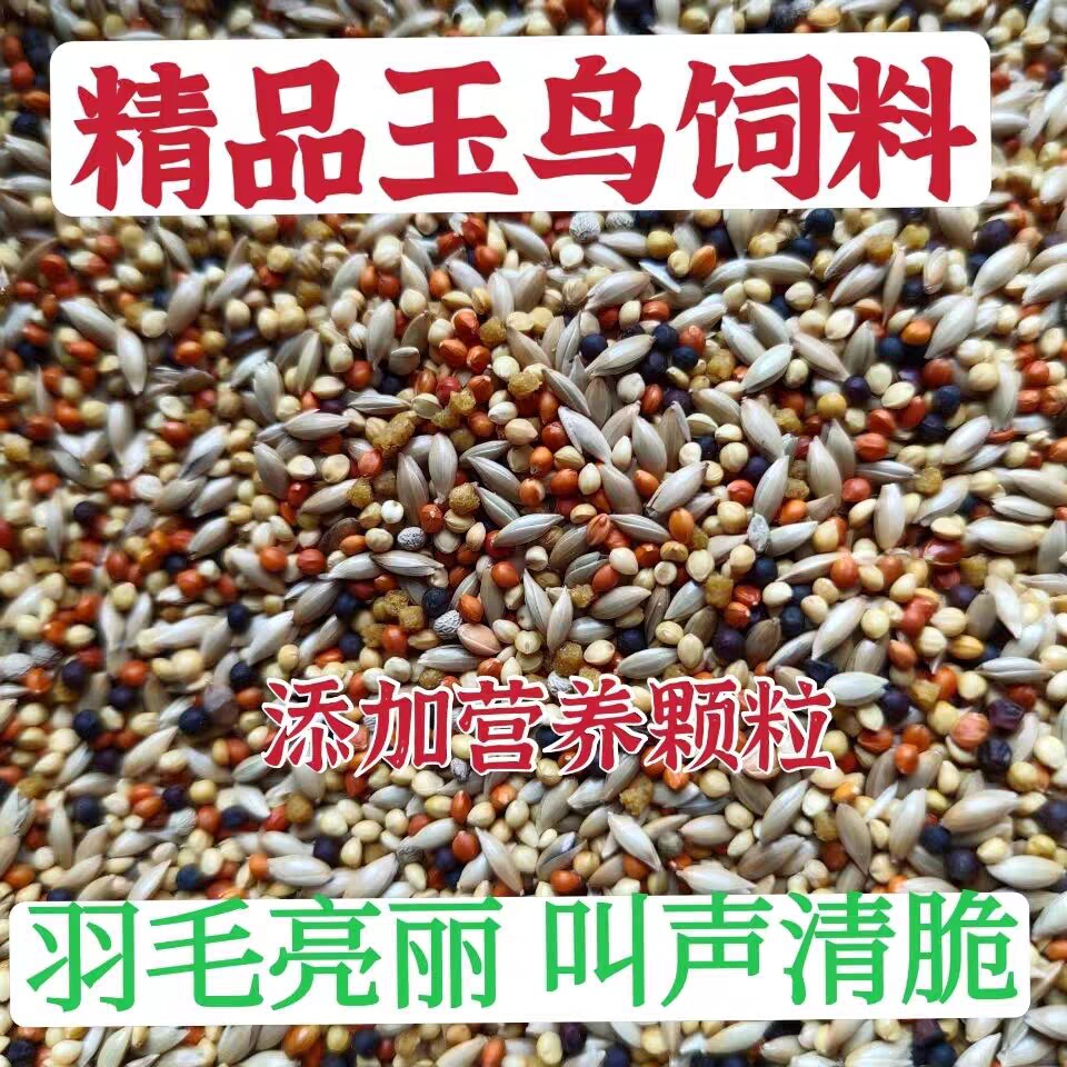 玉鸟黄雀营养鸟食金丝雀混合鸟粮麻料金翅芙蓉鸟金青黄巧饲料五斤