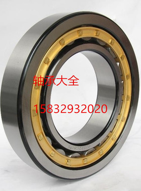 天马圆柱滚子轴承NJ NU RN NUP209 210 211 212 213 214 215EM