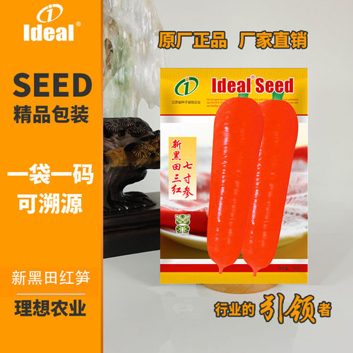 胡萝卜理想农业新黑田