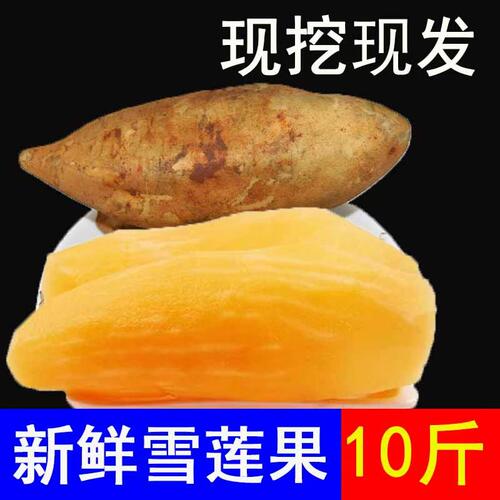 云南天山雪莲果新鲜黄心高山红泥
