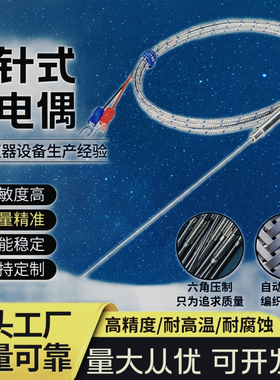 铠装热电偶WRNK191分度号T/E/J/K型Pt100热电阻171温度传感器探头