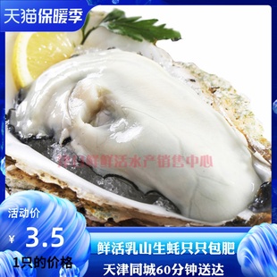 天津生蚝鲜活精品牡蛎进口海蛎子刺身满10只送耗刀芥末料同城海鲜