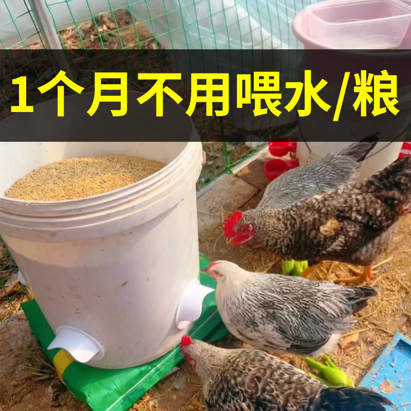 家禽喂食器小鸡饲料鸡食槽投喂器鸽子自动喂食神器喂鸡自动下料器