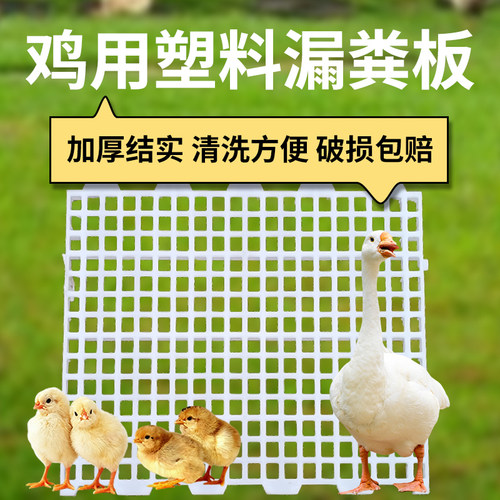 鸡粪漏粪板养鸡加厚塑料网格鸡圈脚垫防护网鸡鸭鹅鸽子笼漏粪底板