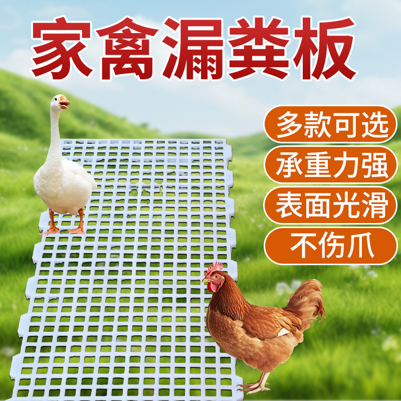 养鸡漏粪板鸡鸭鹅鸽子家禽加厚塑料漏屎板鸡舍鸡笼隔粪板网格地板