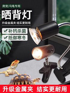 Магистраль свет Взбираться отопление свет теплый Добавка кальция стерилизовать