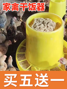 Куриный корм для курицы куриный бак артефакт Кормить ствол цыпленок Привет нагреватель воды Курица автоматическая кормление Курица пейте много воды питьевой Устройство