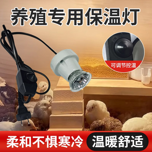 小鸡芦丁鸡保温灯可调温