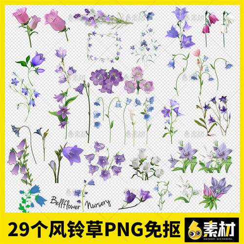 紫色风铃草花朵鲜花装饰边框白色手绘花枝png免抠图片背景素材