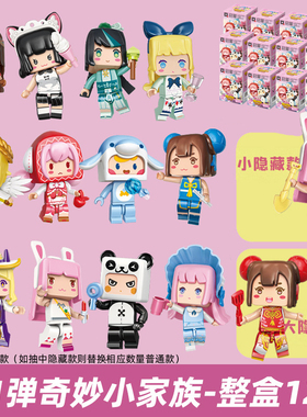 启蒙72035奇妙家族迷你世界盲盒人仔人偶小颗粒拼装积木玩具模型