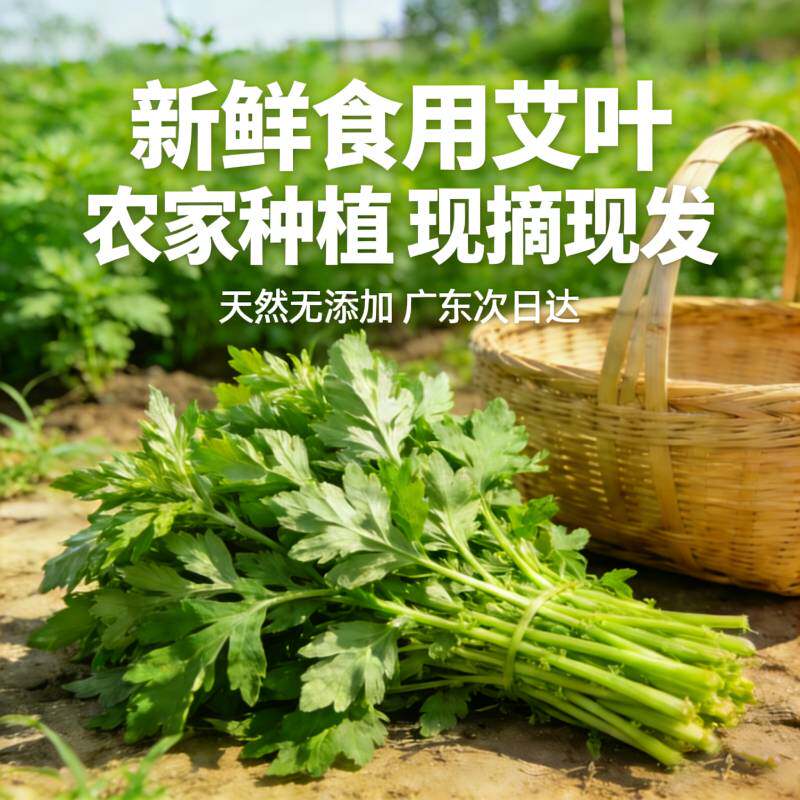 广东新鲜艾叶食用艾草青团糍粑艾米果清明果原料嫩叶现摘批发包邮