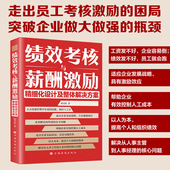 绩效考核与薪酬激励 资源绩效考核方案 精细化设计及整体解决方案