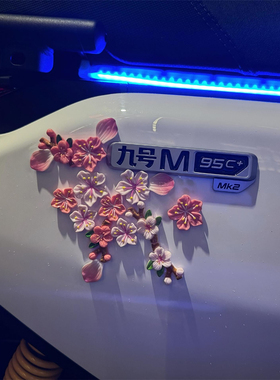 适用九号M95c/Q85c/80C电动车贴纸仿真桃花装饰配件3D立体划痕贴