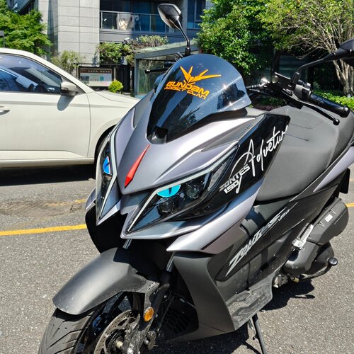 适用26款升仕150V/150X车头拉花