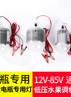 12VLED可调色水果灯夜市灯电动三轮车48V60V生鲜灯红色灯地摊灯