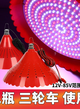 12VLED可调色水果灯夜市灯电动三轮车48V72v生鲜灯红色灯地摊灯