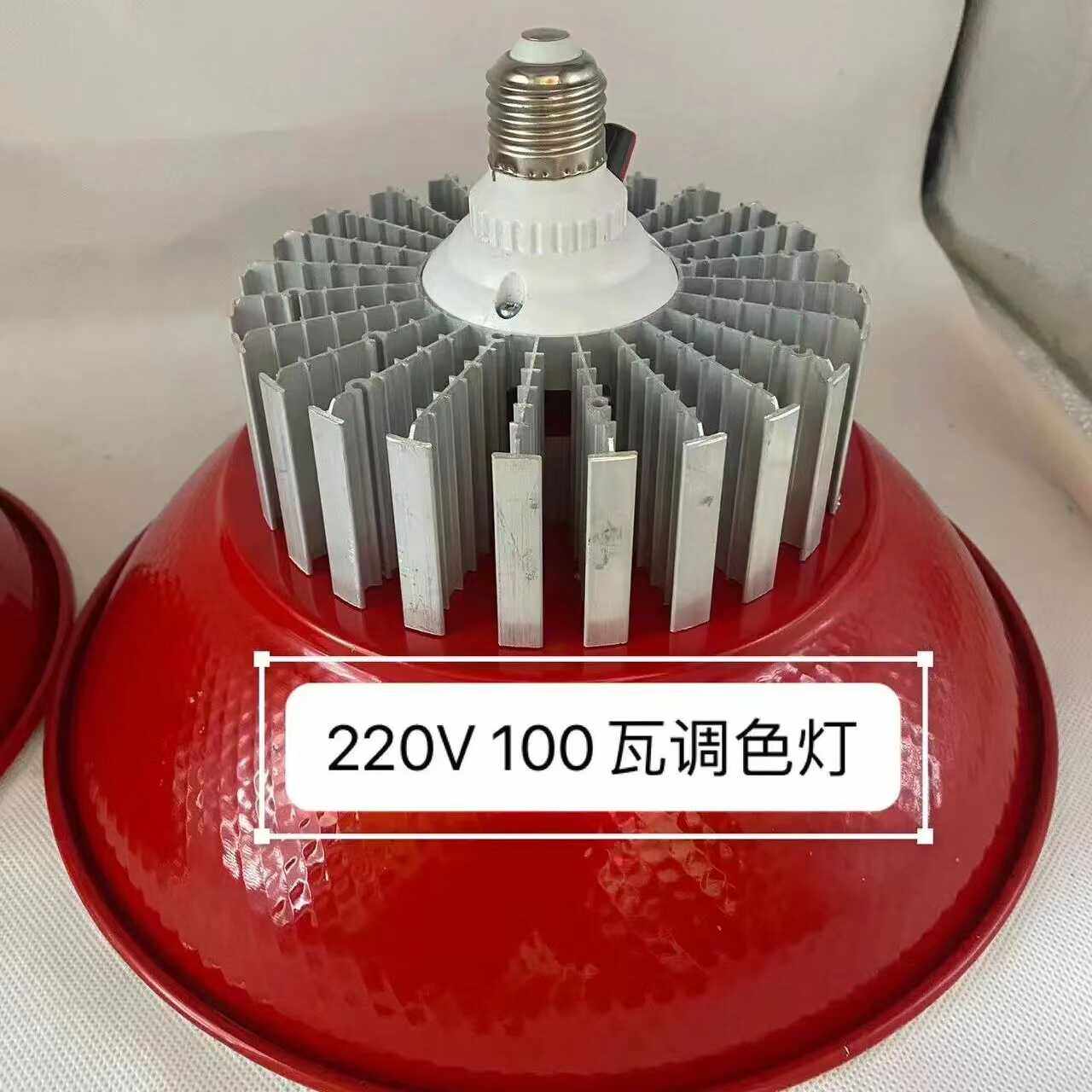 220v100瓦水果调色灯 透明罩 RGB灯珠