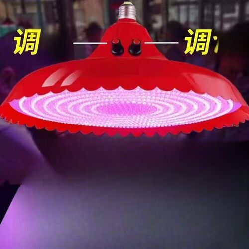 双旋钮led照明灯白光220v电压e27螺口商铺吊灯通用