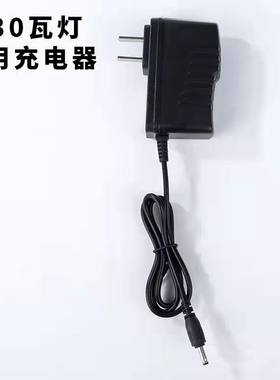 生鲜灯专用充电器 50瓦 70瓦 80瓦 100瓦 150瓦 200瓦 235瓦