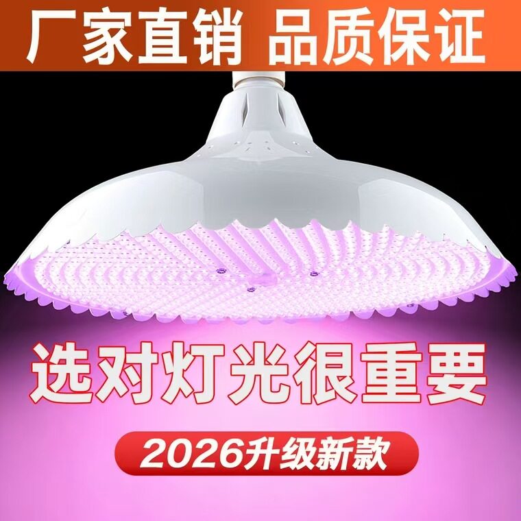 新款白光照明生鲜专用吊灯商铺摊位LED高亮专用照明吊灯