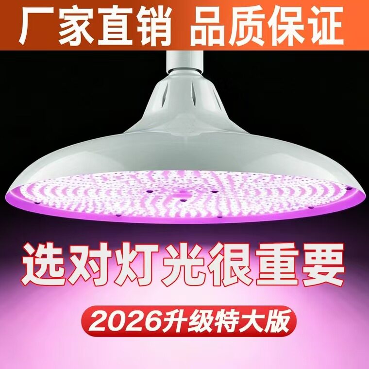 LED加大版超亮高亮白光暖黄光螺口红色光源商用家用店铺照明灯