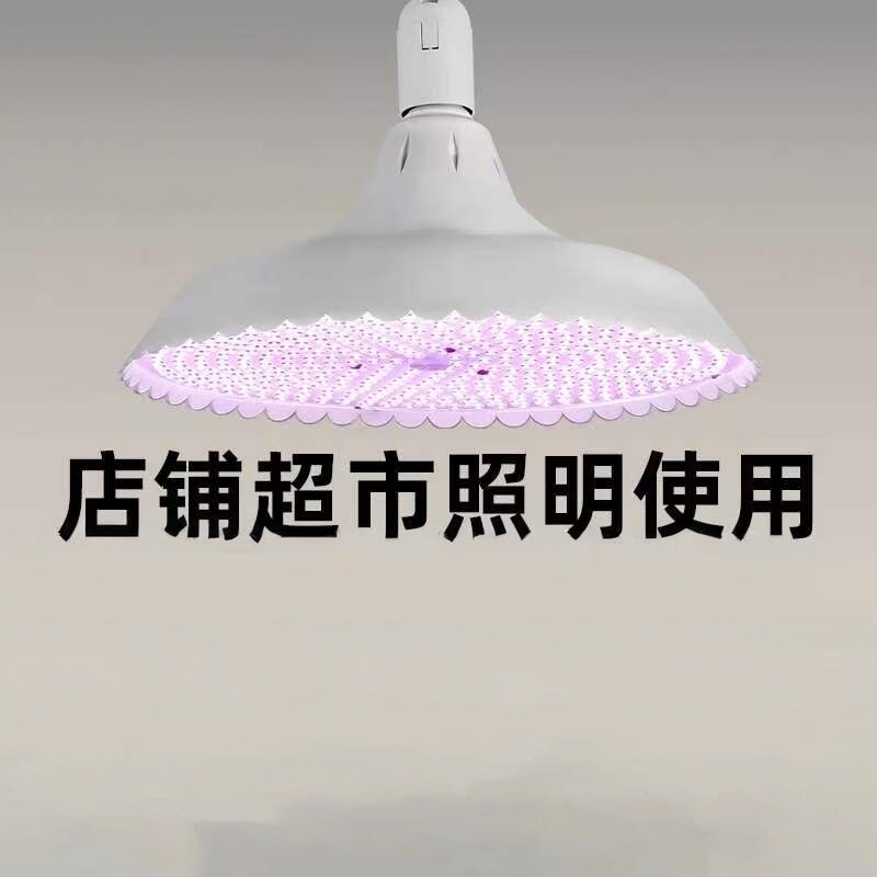 led灯新款白光高亮白光led灯