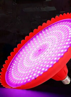 led新款灯专用灯照明灯