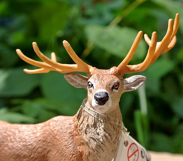 Safari正品仿真野生动物模型红迪鹿静态塑胶玩偶造型逼真设计严谨