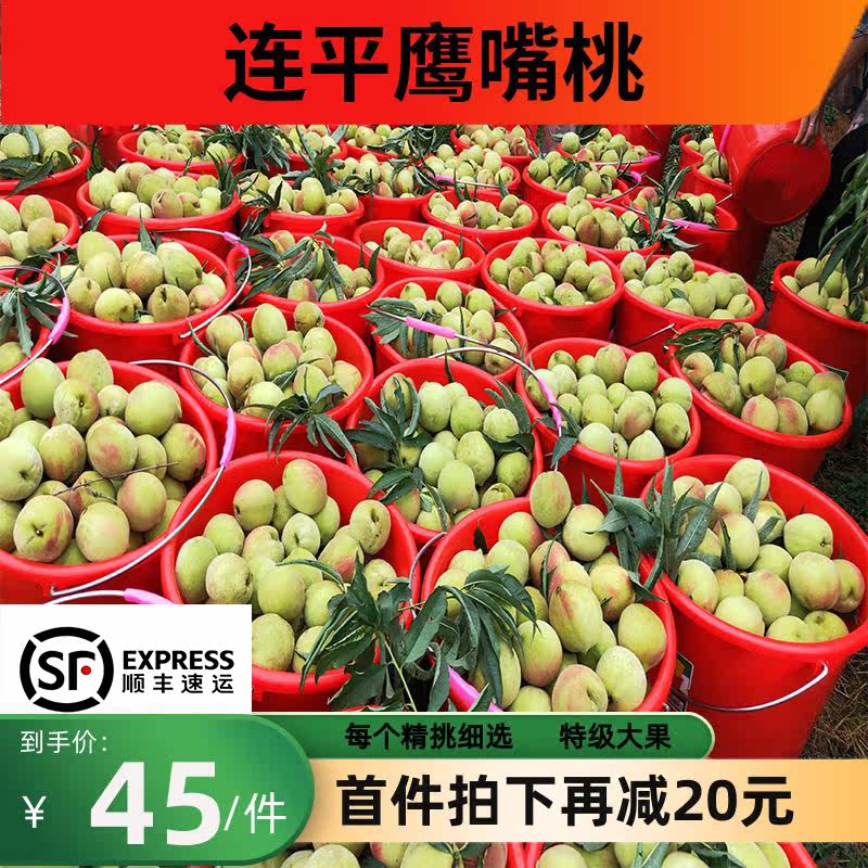 顺丰连平上坪鹰嘴桃新鲜水果桃子