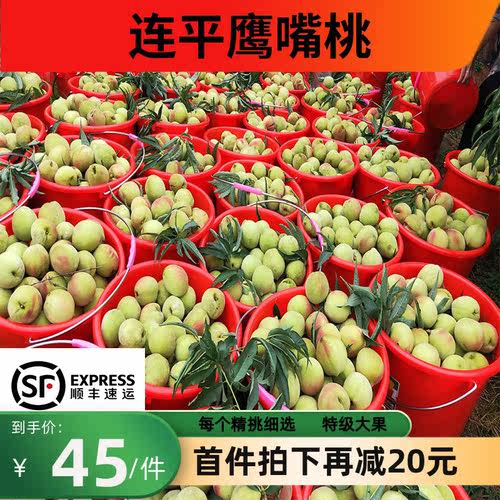 顺丰连平上坪鹰嘴桃新鲜水果桃子