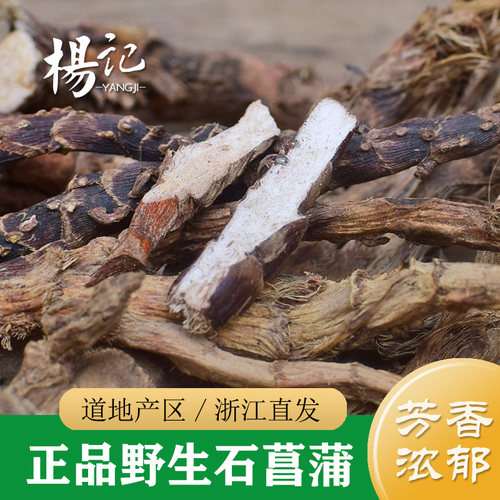 正品浙江野生石菖蒲250g 中药材石菖蒲干货 石菖蒲粉苍术辛夷远志