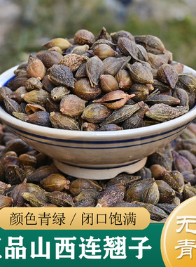 连翘中药材正品 精选山西无柄大青翘500g 连翘籽/连翘干/大翘子