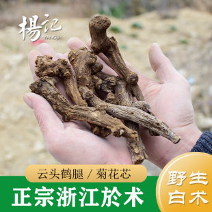 正品 浙白术500g 浙江野生白术 炒白术 於术 中药材于术 生白术片