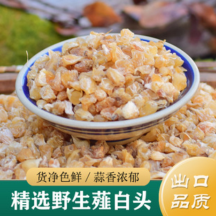 薤白中药材正品 野生小根蒜薤白头250g 小野蒜干货