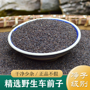 车前子中药材正品 精选野生车前子籽250g 车前草籽车前子茶