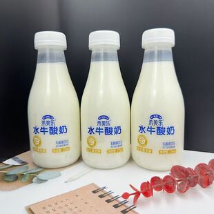 希美乐水牛酸奶牛奶原味饮品益生菌发酵饮料375ml 5瓶/10瓶