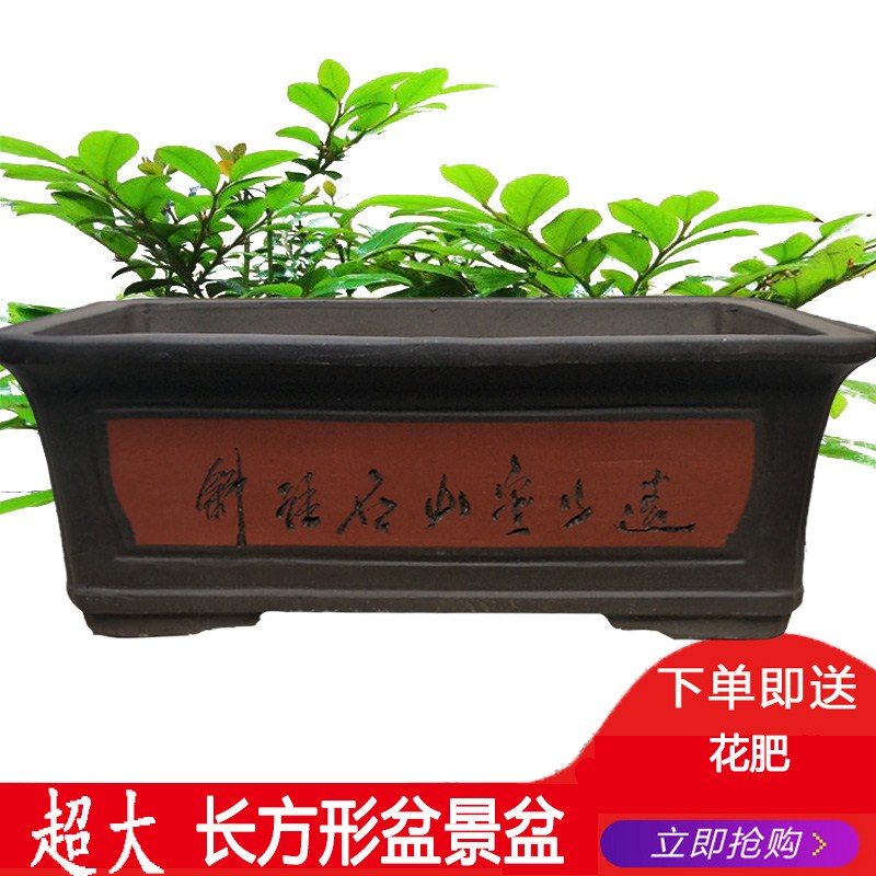 家用紫砂花盆长方形种菜盆阳台盆景盆陶瓷花盆大号特大号清仓包邮