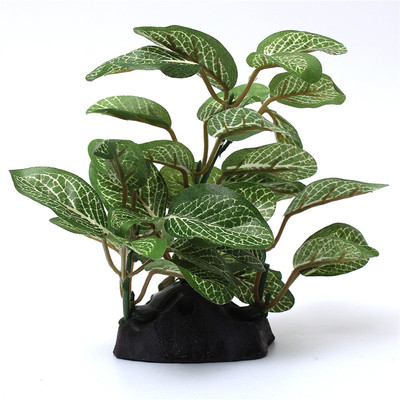 爬虫造景植物爬宠造景植物树爬虫蜘蛛蝎子蜈蚣角蛙乌龟饲养箱造景