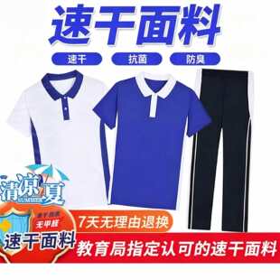 深圳校服中小学男女夏装运动服速干衣短袖特级冰感棉短裤夏长裤