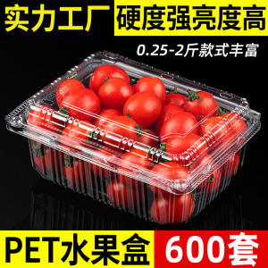 一次性水果盒塑料草莓打包盒整箱