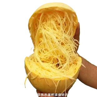 金丝搅瓜种子大全绞瓜粉丝南瓜鱼翅瓜种籽孑原装种子大全批发代发