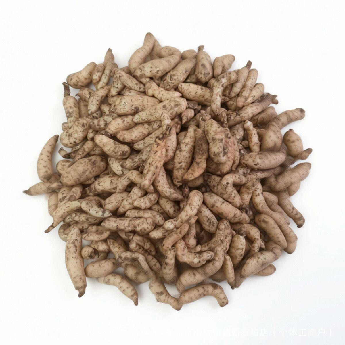 天麻种子高产高发芽率秋冬种植2026新高产蔬菜种子乌红天麻种籽子