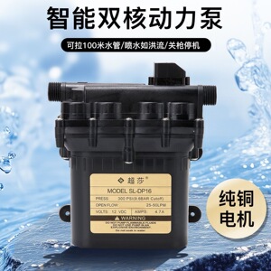 农用电动高压双泵果蔬浇灌水泵