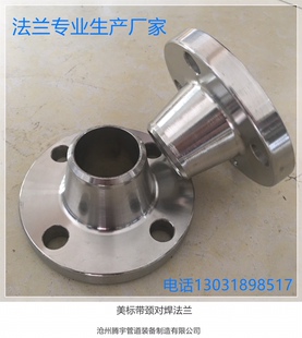 304不锈钢带颈对焊法兰 CL300（PN50) WN-RF S30408 HG/T20615
