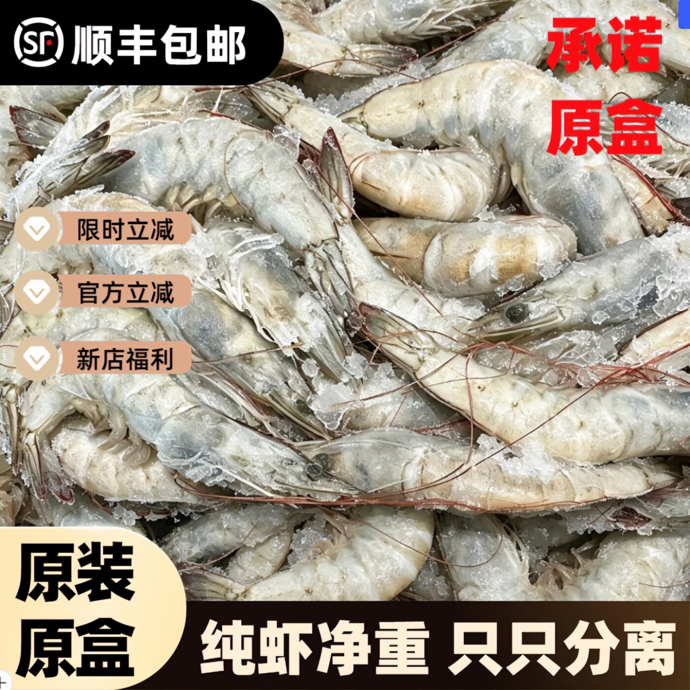 厄瓜多尔白虾青岛直发顺丰冷链