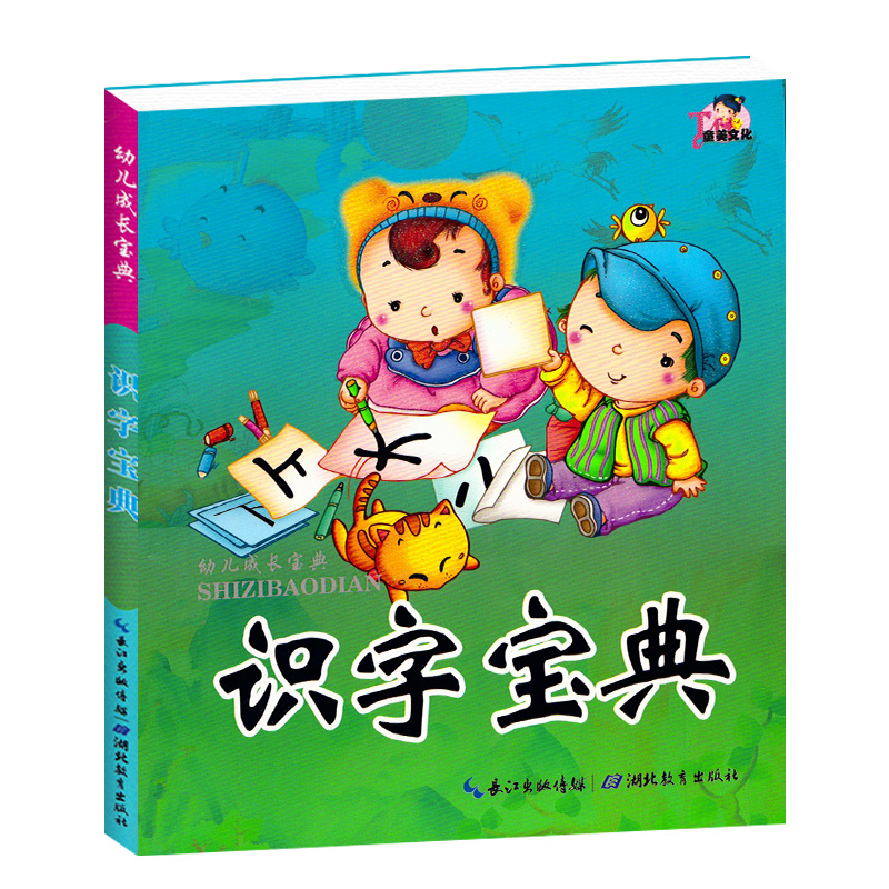 包邮【配VCD教学光盘】幼儿成长宝典 识字宝典 幼儿园学前班小学生汉语识字课本教材带教学碟片 3-4-5-6-7岁儿童学前知识启蒙