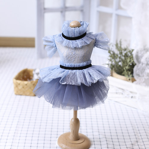 JLSC雾霾蓝宠物蓬蓬裙礼服猫狗衣服小型犬泰迪马尔济斯约克夏裙子 - 封面
