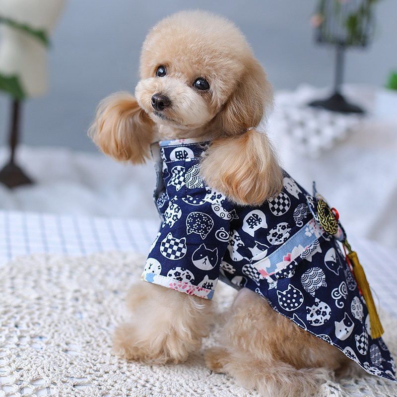 日式和服小型犬布偶比熊定制图片